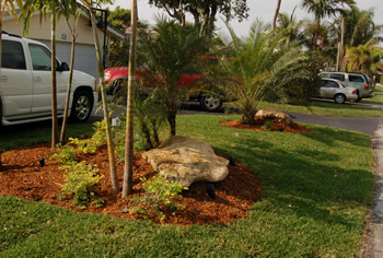 plant installation landscape design fort lauderdale