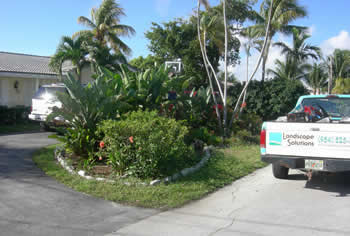 landscape cleanup and renovation