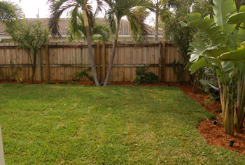 plant installation landscape design fort lauderdale