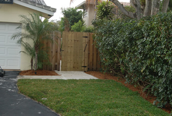 plant installation landscape design fort lauderdale