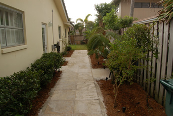 plant installation landscape design fort lauderdale