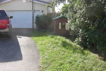 landscape cleanup and renovation