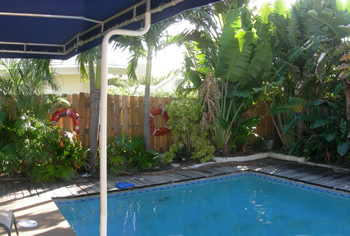 landscape cleanup and renovation