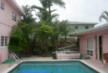 landscape cleanup and renovation