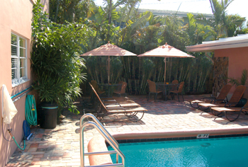 plant installation landscape design fort lauderdale