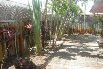 landscape cleanup and renovation