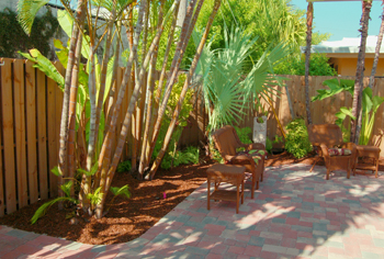 plant installation landscape design fort lauderdale
