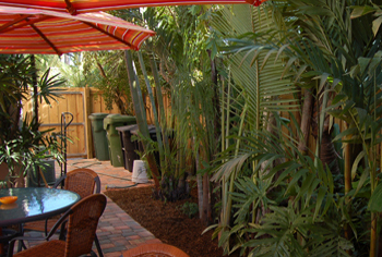 plant installation landscape design fort lauderdale