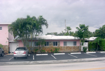 landscape cleanup and renovation