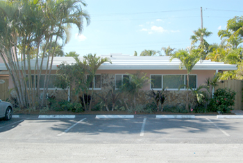 plant installation landscape design fort lauderdale