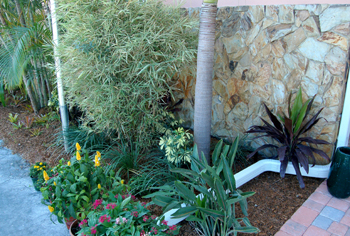 plant installation landscape design fort lauderdale