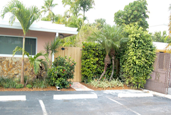 plant installation landscape design fort lauderdale