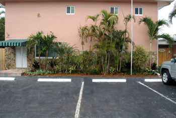 plant installation landscape design fort lauderdale