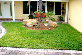 plant installation landscape design fort lauderdale