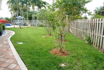plant installation landscape design fort lauderdale