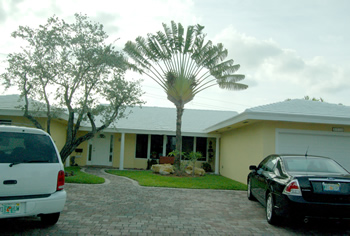 plant installation landscape design fort lauderdale