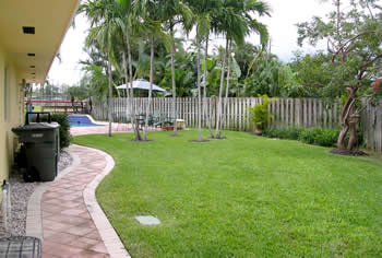 landscape cleanup and renovation