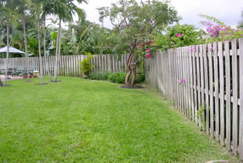 landscape cleanup and renovation