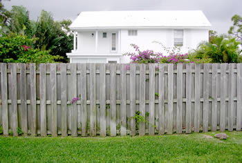 landscape cleanup and renovation