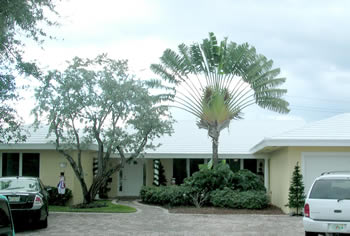 landscape cleanup and renovation