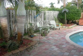 landscape cleanup and renovation