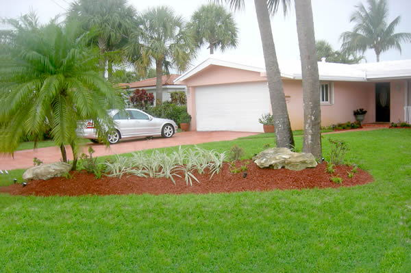 front yard mound