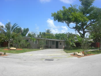 plant installation landscape design fort lauderdale