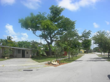 plant installation landscape design fort lauderdale