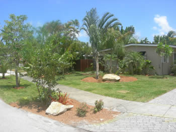 plant installation landscape design fort lauderdale