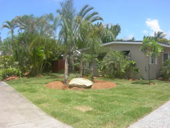 plant installation landscape design fort lauderdale
