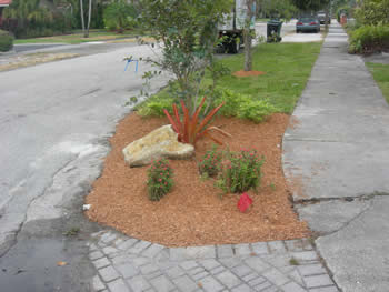 plant installation landscape design fort lauderdale