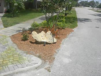 plant installation landscape design fort lauderdale
