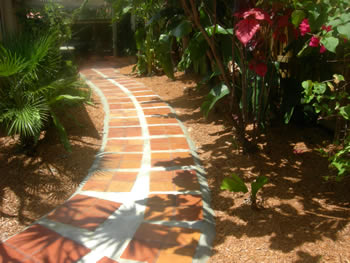 plant installation landscape design fort lauderdale