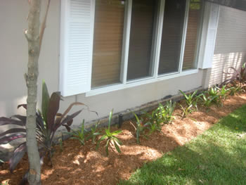 plant installation landscape design fort lauderdale