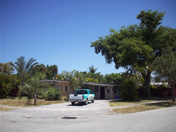landscape cleanup and renovation