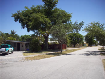 landscape cleanup and renovation