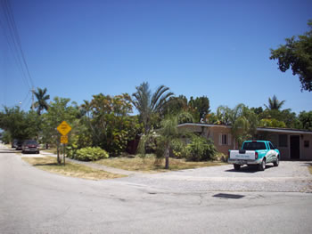 landscape cleanup and renovation