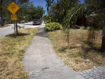 landscape cleanup and renovation