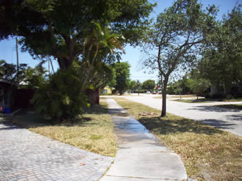 landscape cleanup and renovation