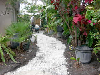 landscape cleanup and renovation