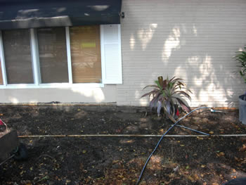 landscape cleanup and renovation
