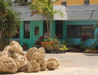 landscape maintenance lawn care