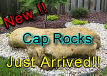 landscape maintenance, lawn care, fertilizer fort lauderdale, oakland park