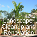 cleanup and renovation, lawn maintenance, lawn care