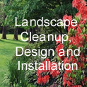 design and installation, lawn maintenance and lawn care