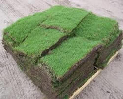 pallet of sod